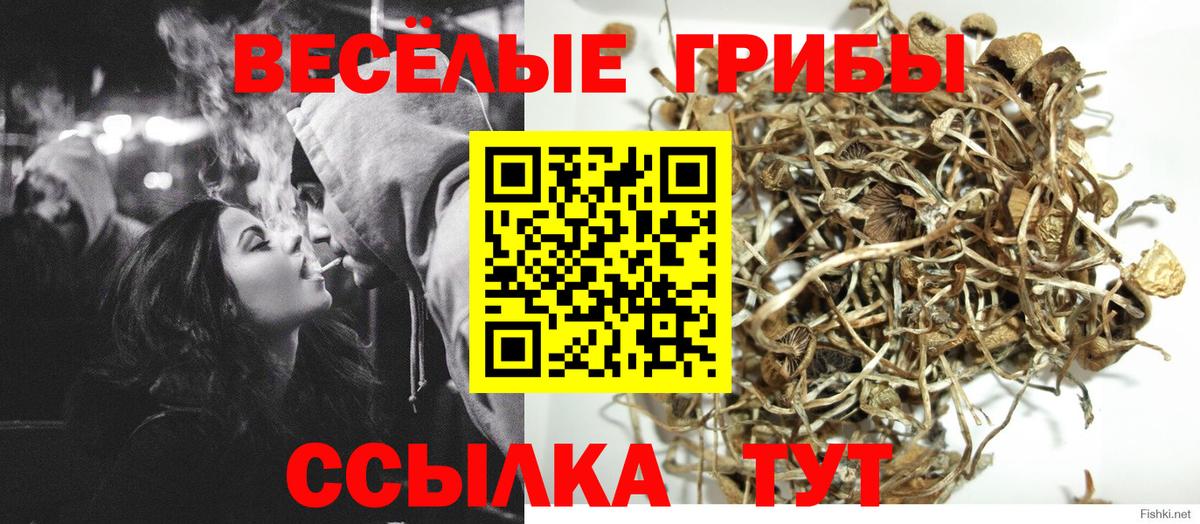 Вышний Волочёк  Псилоцибиновые грибы прущие грибы  Псилоцибиновые грибы Magic Shrooms  Вход с VPN 